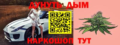 крисы Краснознаменск